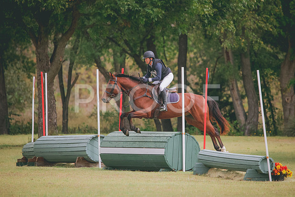 RWP_3972