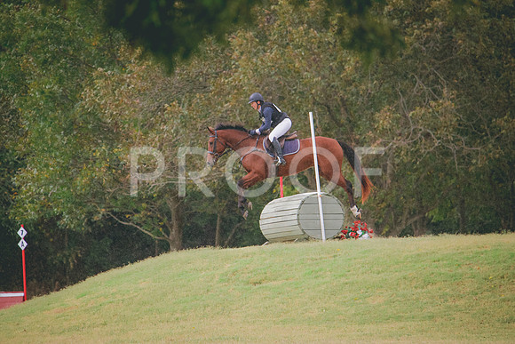 RWP_3986