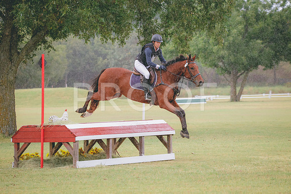 RWP_3994