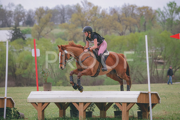 RWP_8709