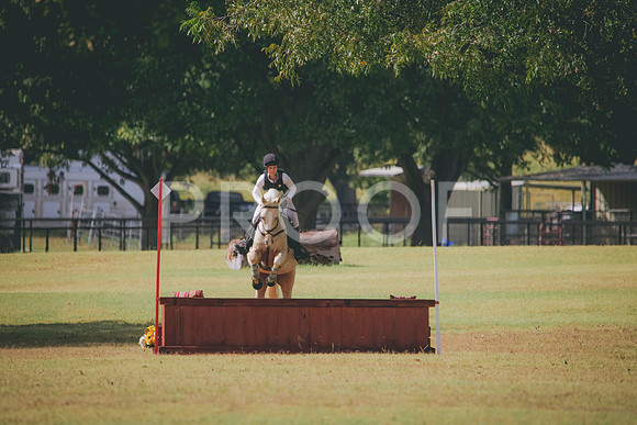 RWP_4651