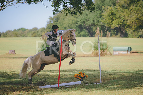 RWP_4662