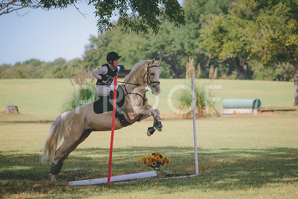 RWP_4663