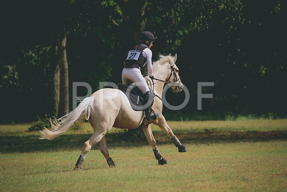 RWP_4674