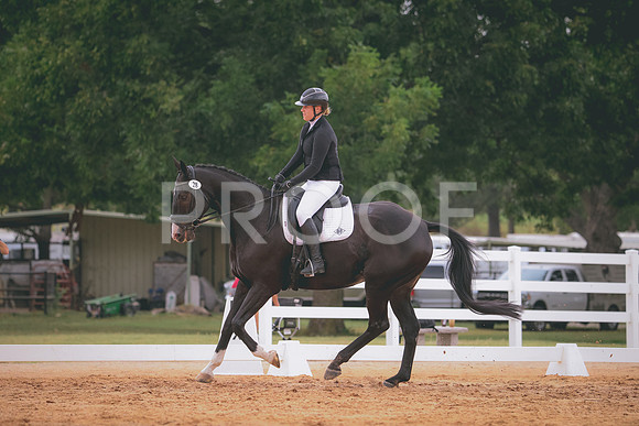 RWP_2839