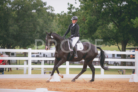 RWP_2842