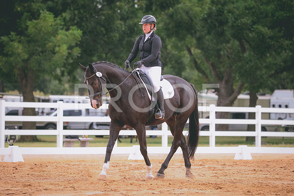 RWP_2878
