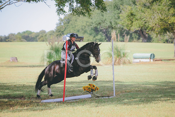 RWP_4697