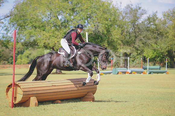 RWP_4706