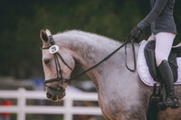 RWP_2894