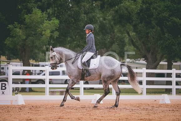 RWP_2909