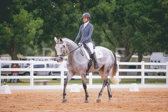 RWP_2959