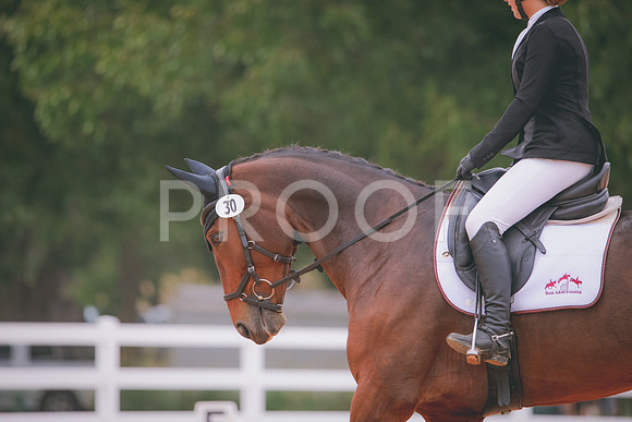 RWP_3005
