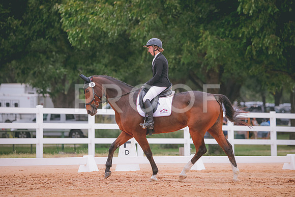 RWP_3010