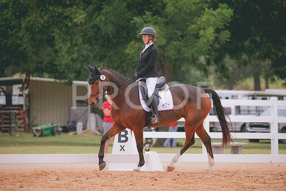 RWP_3013