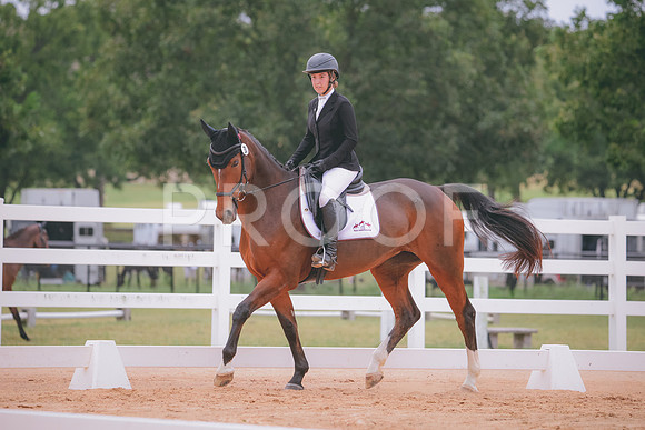 RWP_3017