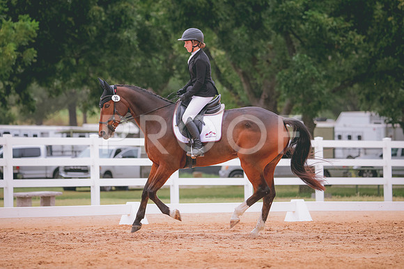 RWP_3021