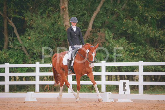 RWP_2590