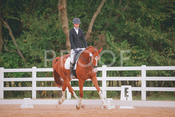 RWP_2591