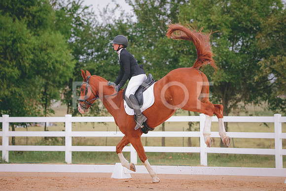 RWP_2612