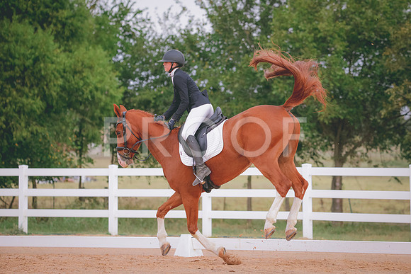 RWP_2613