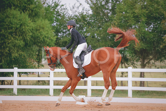 RWP_2614