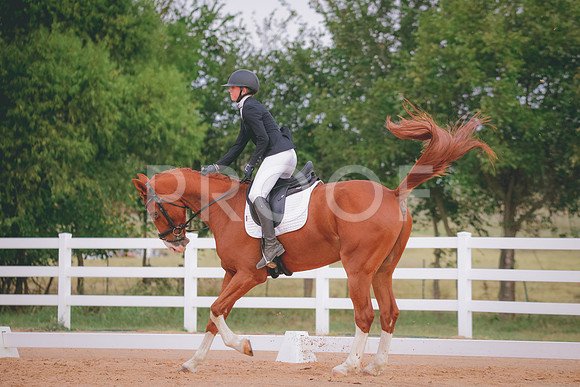 RWP_2615