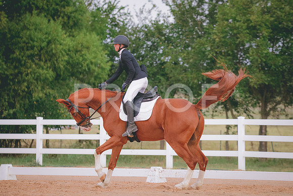 RWP_2616