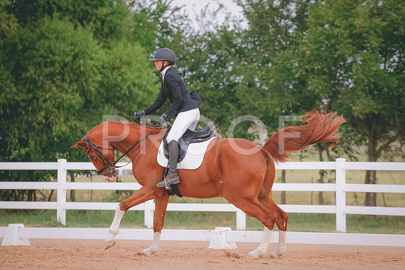 RWP_2617