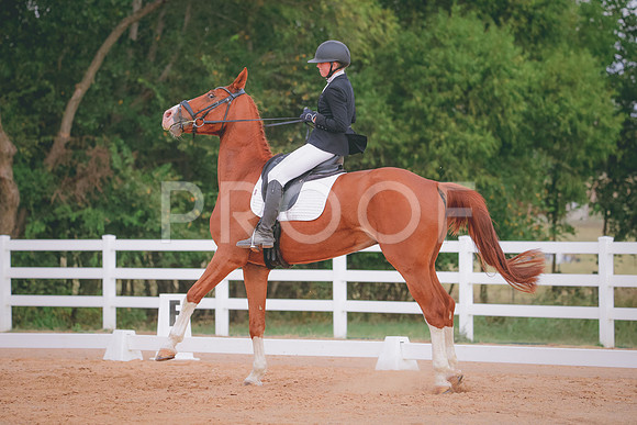 RWP_2618