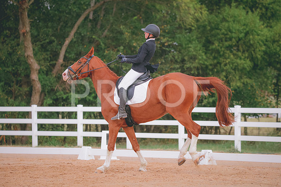 RWP_2621