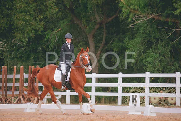 RWP_2624