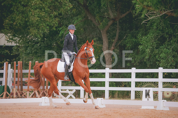 RWP_2622