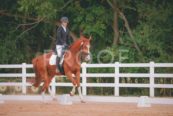 RWP_2625