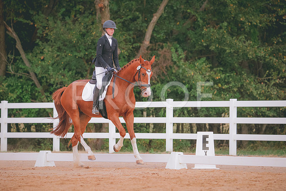 RWP_2628
