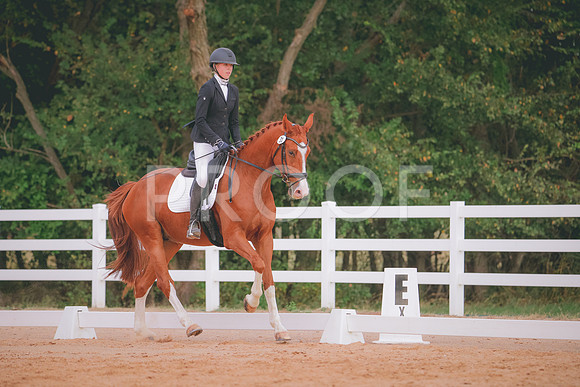 RWP_2629