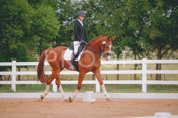 RWP_2631
