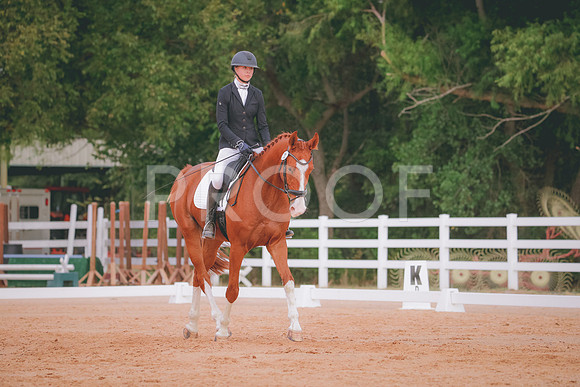 RWP_2635