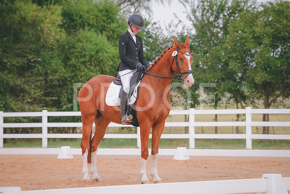 RWP_2642