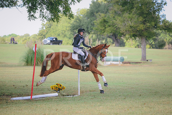 RWP_4719
