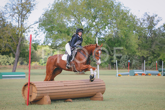 RWP_4724