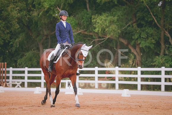 RWP_2648
