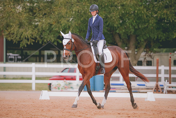 RWP_2656