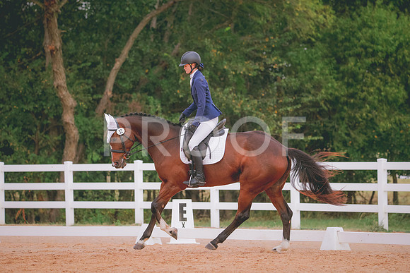 RWP_2659