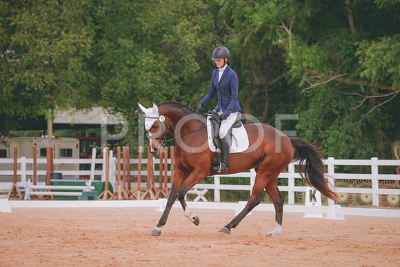 RWP_2663