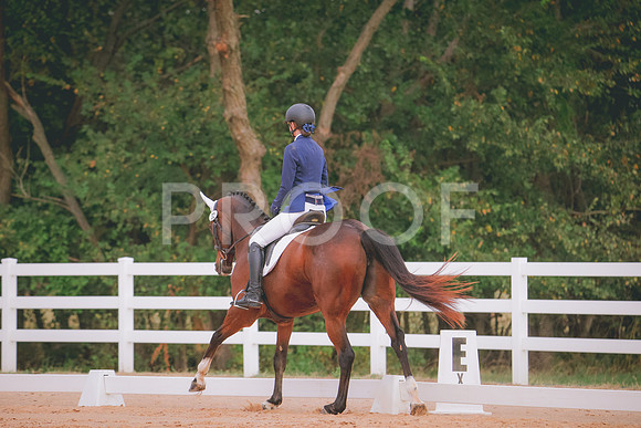 RWP_2668