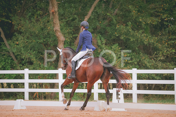 RWP_2666