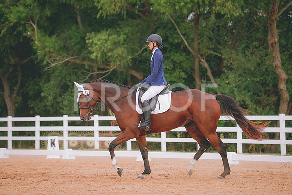 RWP_2673
