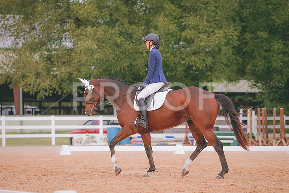 RWP_2678