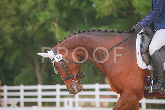 RWP_2694
